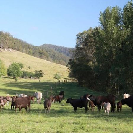 Cedar Creek Cottages Millfield Екстер'єр фото