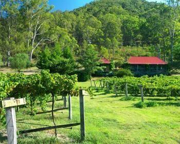 Cedar Creek Cottages Millfield Екстер'єр фото