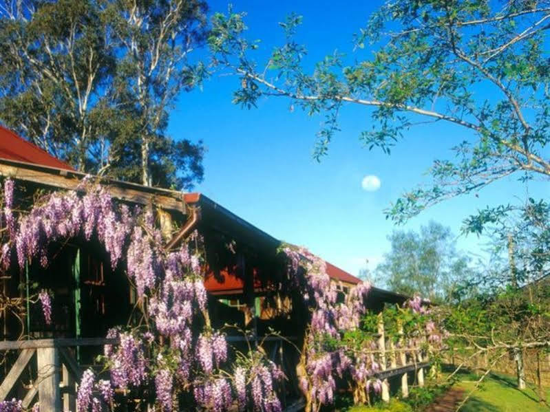 Cedar Creek Cottages Millfield Екстер'єр фото