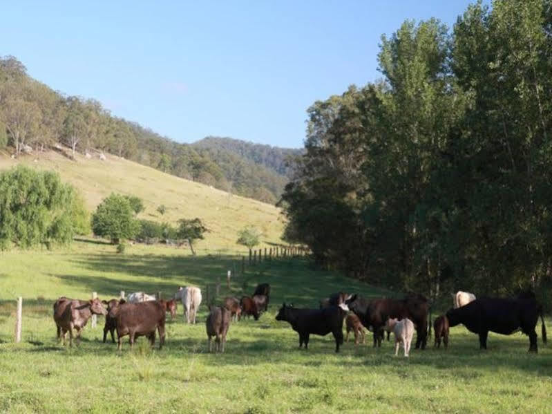 Cedar Creek Cottages Millfield Екстер'єр фото